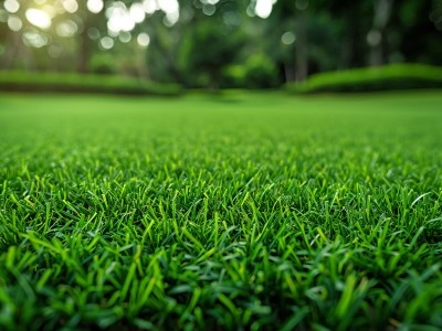 Artificial Turf Applications Move from Sports to Home Interiors