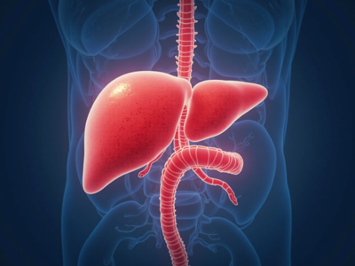 Primary Biliary Cholangitis: Symptoms, Diagnosis & Treatment